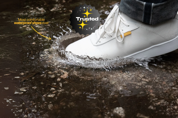 fdgkkdld 100 x 100 px 600 x 400